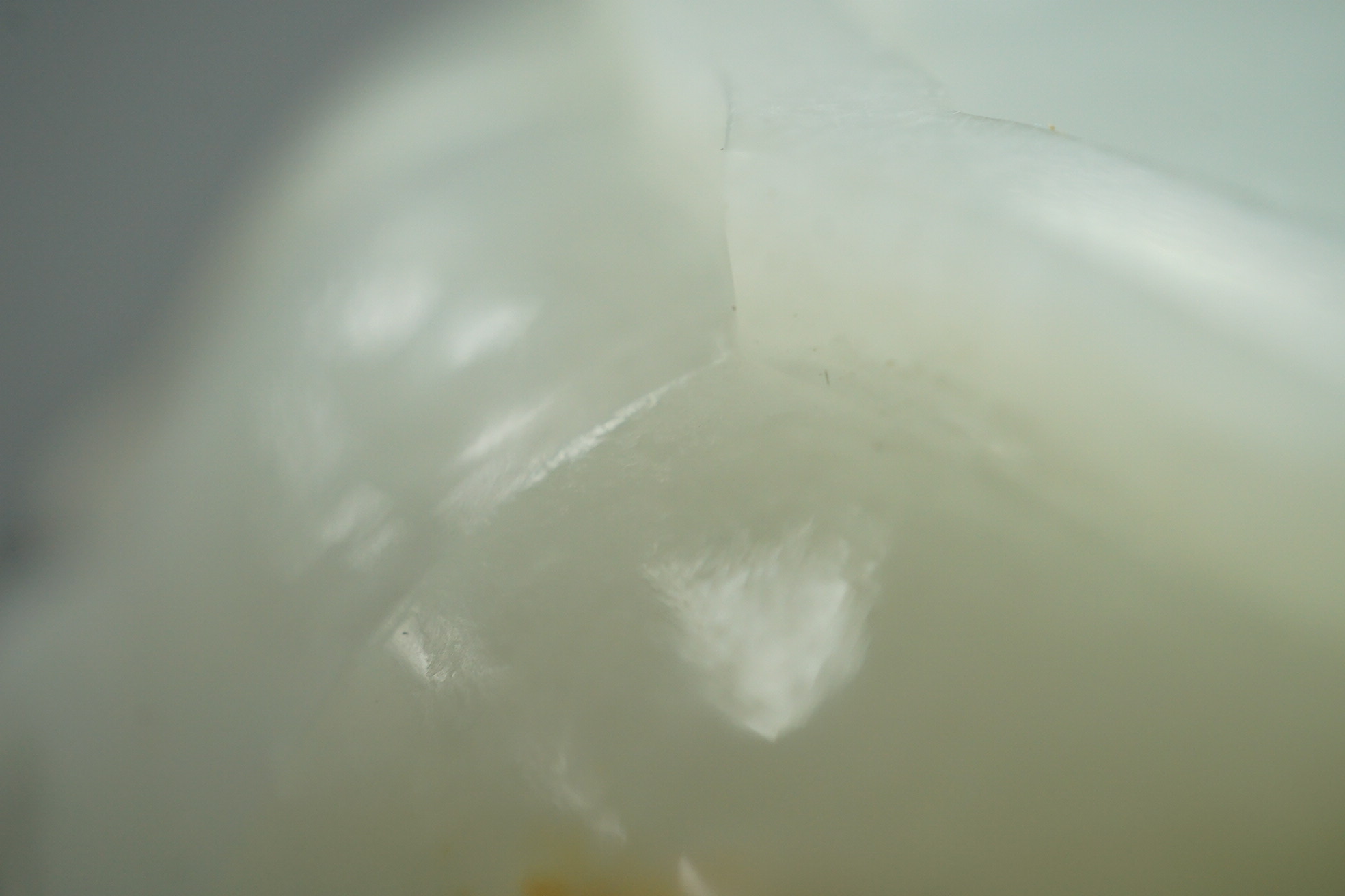 A Chinese white and russet jade petal lobed cup stand